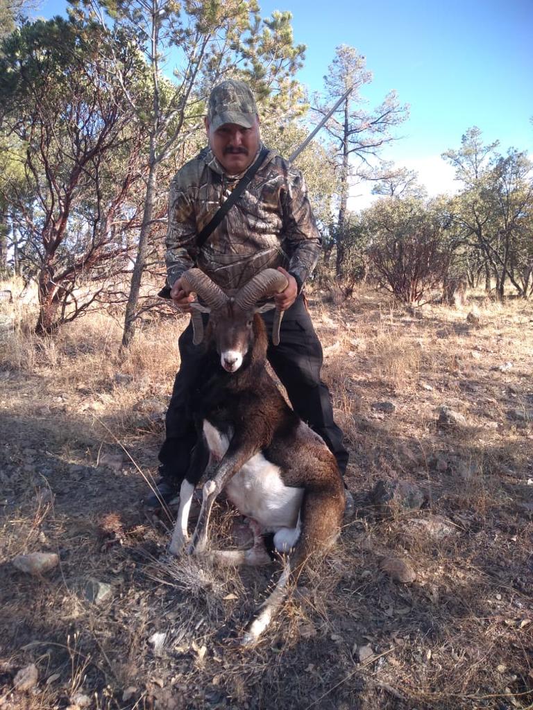 Hogs_and_exotics_Chihuahua_Mountain_Outfitters_11