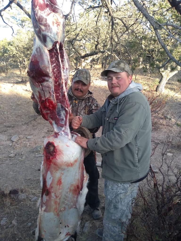 Hogs_and_exotics_Chihuahua_Mountain_Outfitters_12