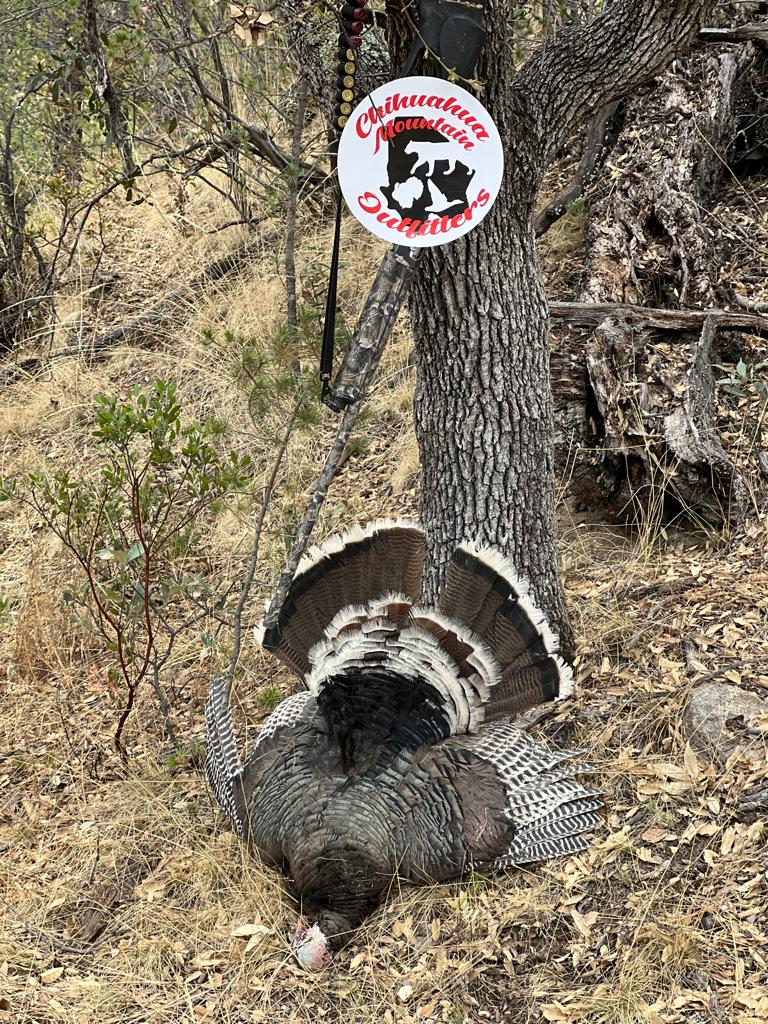 chihuahua-outfitters-11