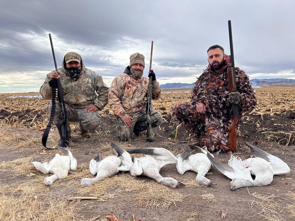 chihuahua-outfitters-19