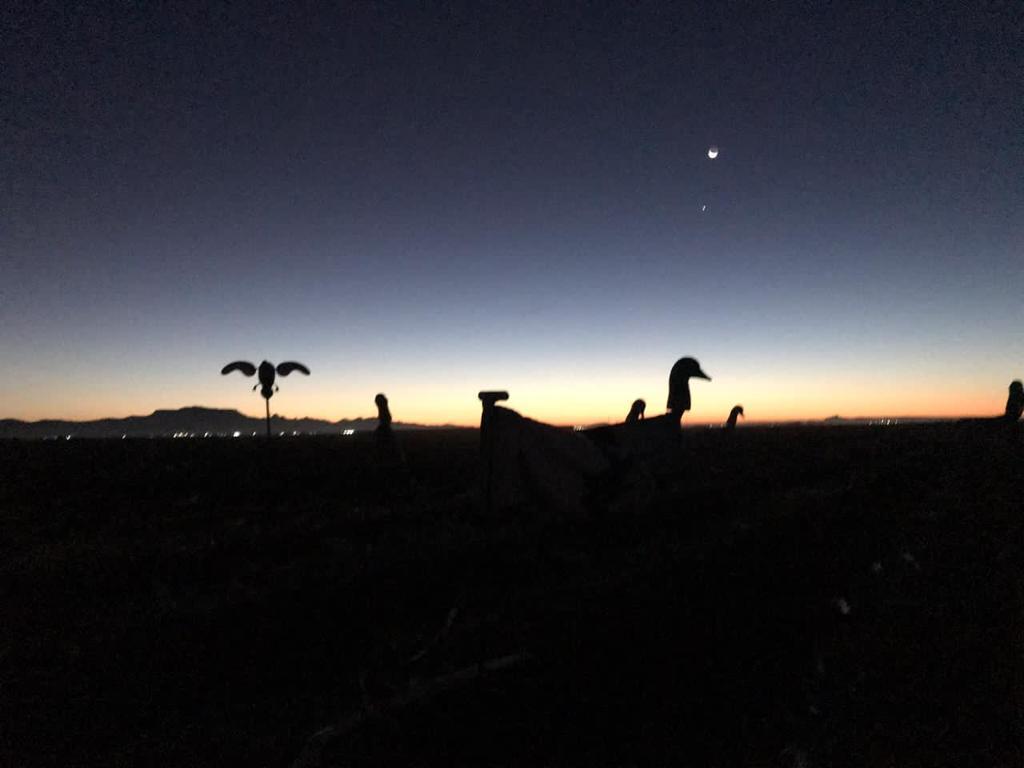 chihuahua-outfitters-25