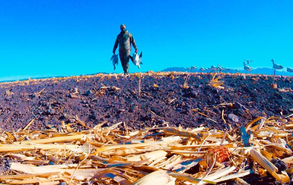 chihuahua-outfitters-27