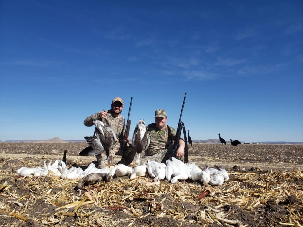 chihuahua-outfitters-33