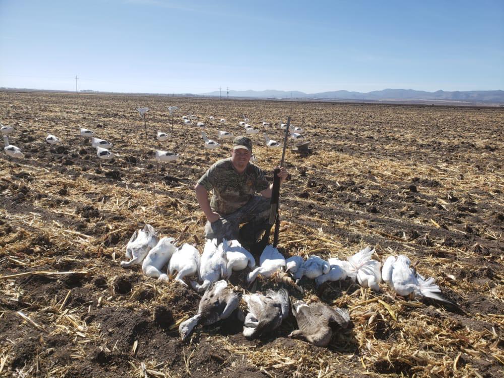 chihuahua-outfitters-34