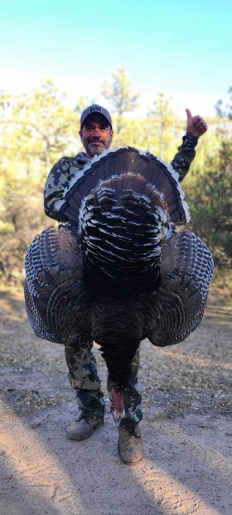 chihuahua_mountain_outfitters_turkey_05