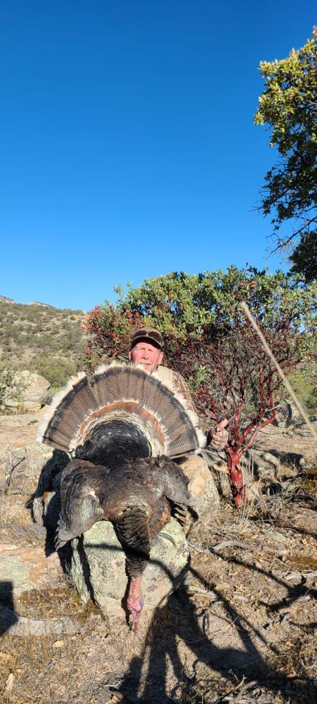 chihuahua_mountain_outfitters_turkey_11