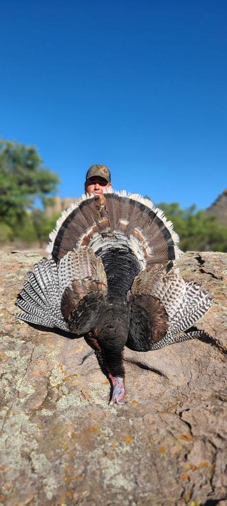 chihuahua_mountain_outfitters_turkey_19