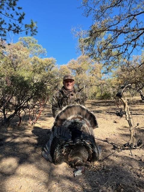 WhatsApp Image 2024-05-10 at 12.46.55 PM