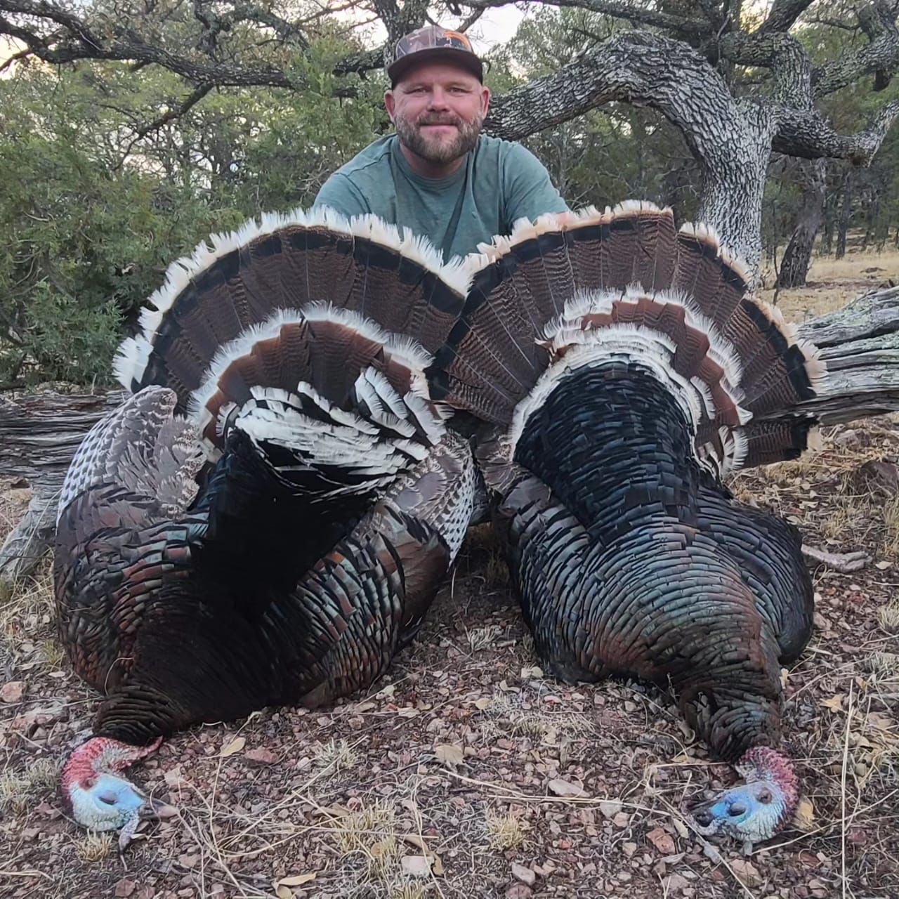 WhatsApp Image 2024-05-10 at 12.47.00 PM