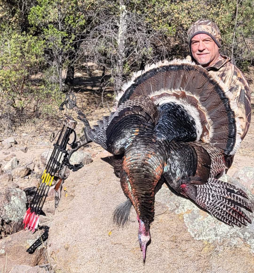 WhatsApp Image 2024-05-10 at 12.47.01 PM