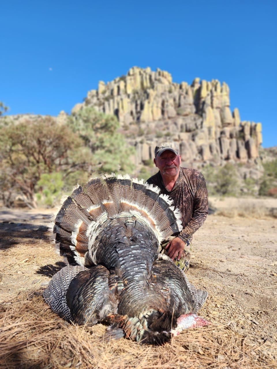 WhatsApp Image 2024-07-22 at 8.29.24 AM (1)