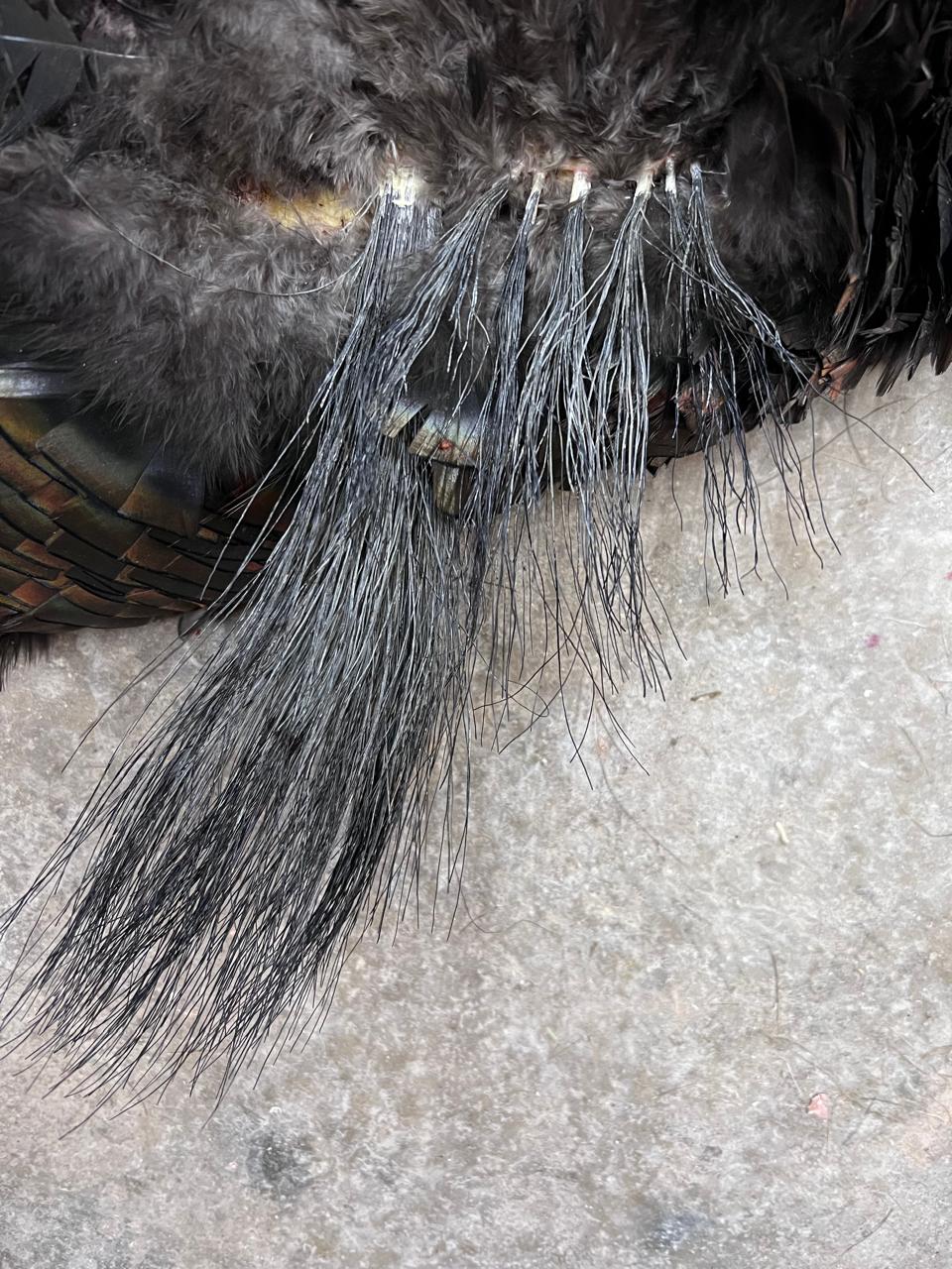 WhatsApp Image 2024-07-22 at 8.29.26 AM (2)