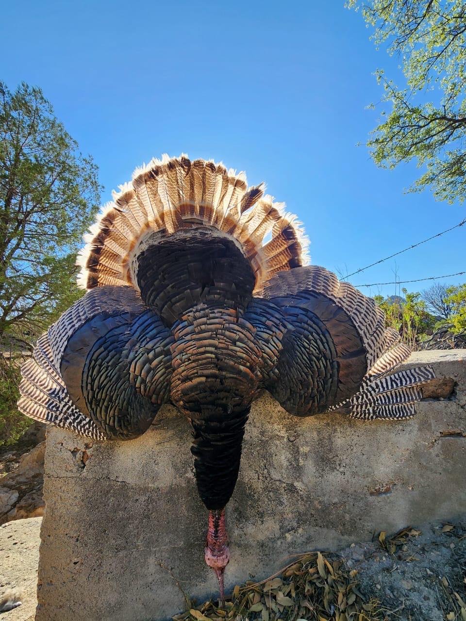 WhatsApp Image 2024-07-22 at 8.29.26 AM